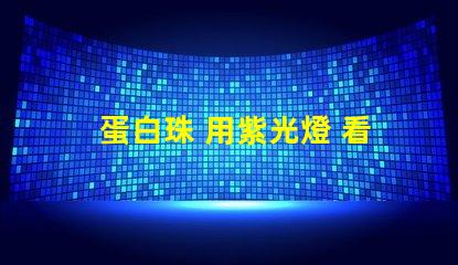 蛋白珠 用紫光燈 看是什么顏色
